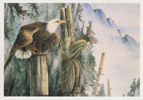 P.O. Eagle